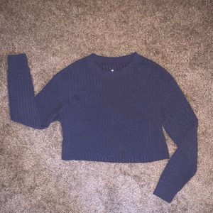 Purple Cropped Sweatshirt